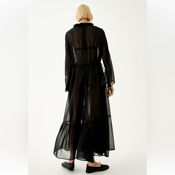 H&M Edition Sheer Maxi Dress - Picture 3 of 8